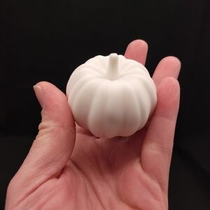 Field Pumpkin 1:6 3D Resin 3D Printed Unpainted and Unprimed